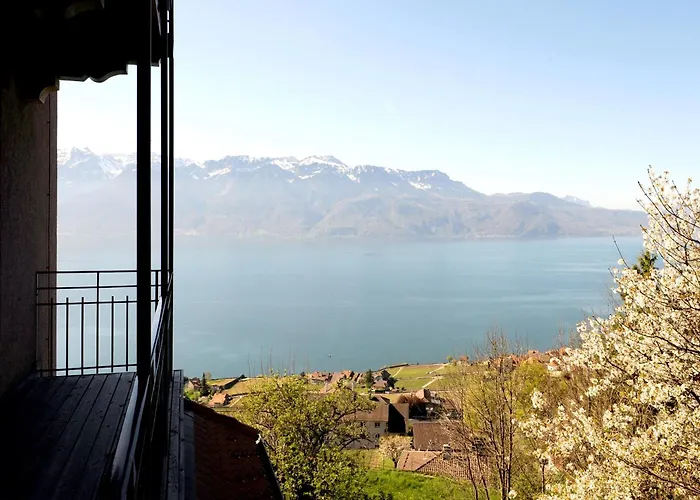 Hotel Prealpina