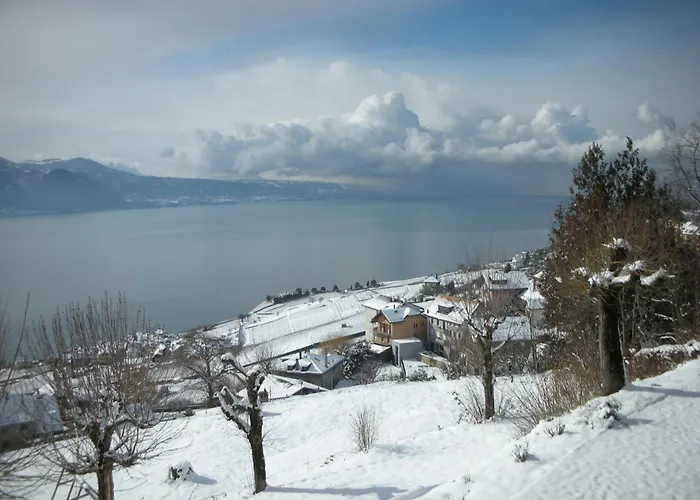 Hotel Prealpina
