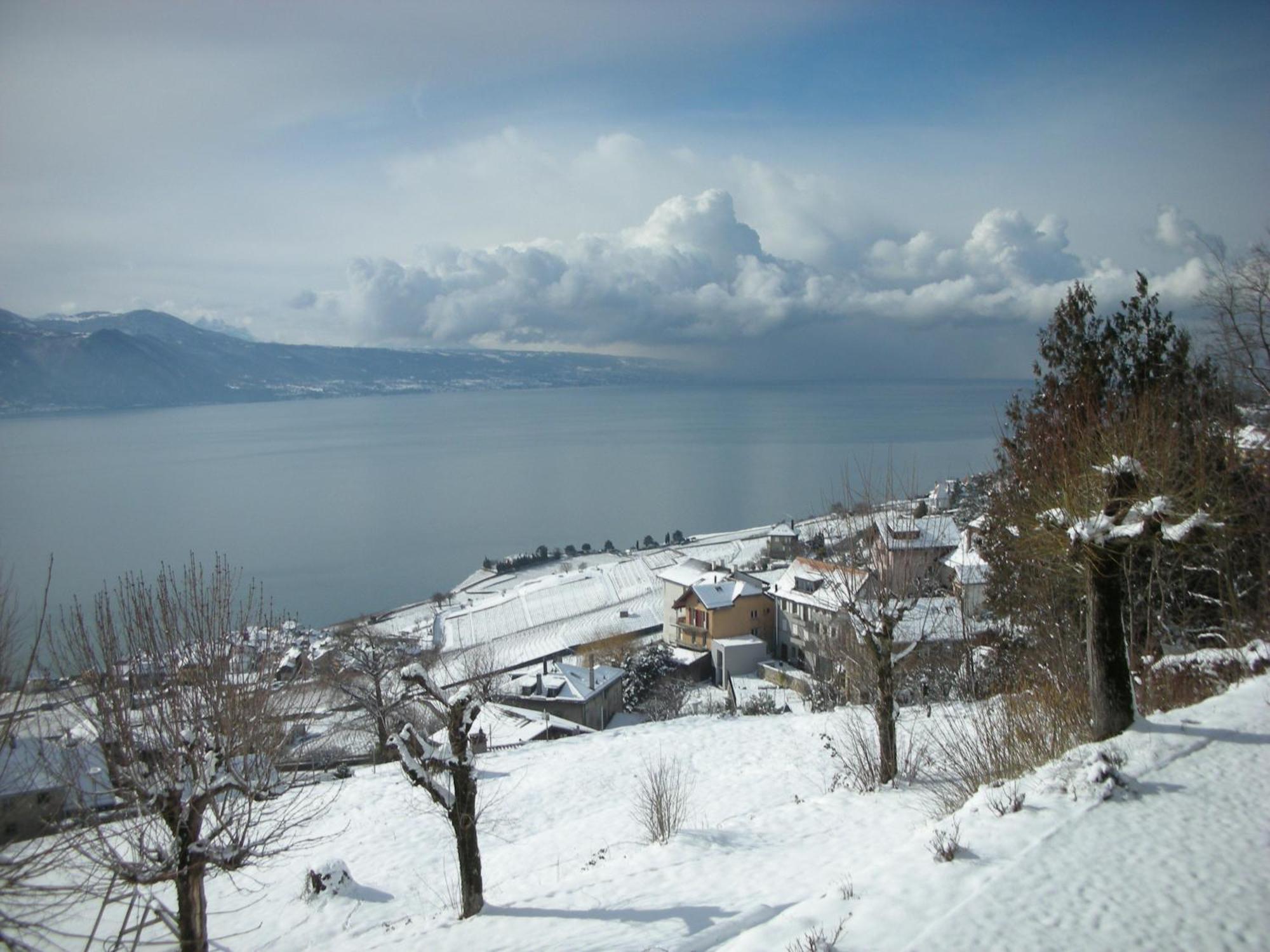 Prealpina Hotel 4*
